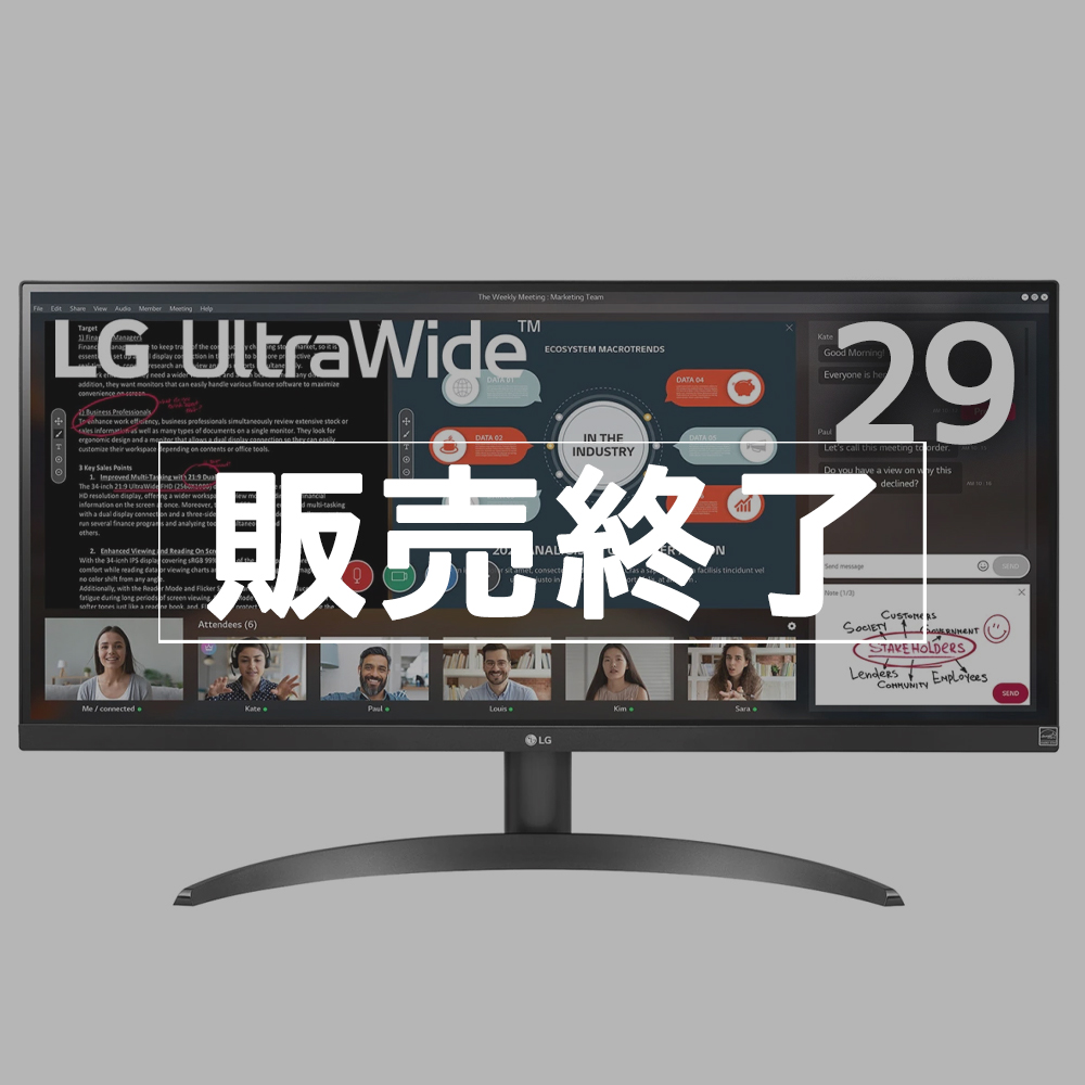 【販売終了】LG 液晶ディスプレイ 29型 IPSウルトラワイド画面　29WP500-B